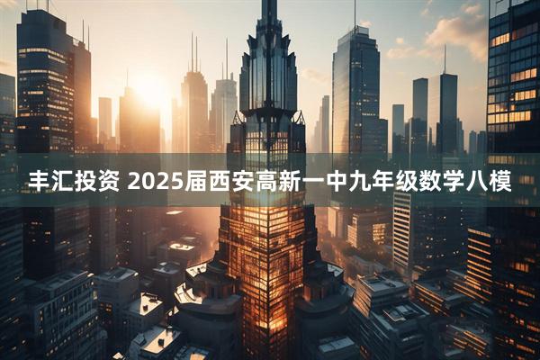丰汇投资 2025届西安高新一中九年级数学八模