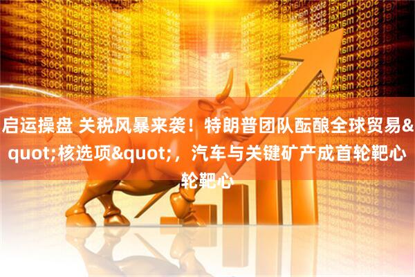 启运操盘 关税风暴来袭！特朗普团队酝酿全球贸易"核选项"，汽车与关键矿产成首轮靶心